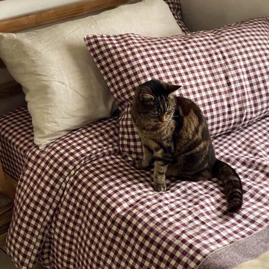 Vitatone Linen Blend Fitted Sheet – Berry Gingham - Image 3